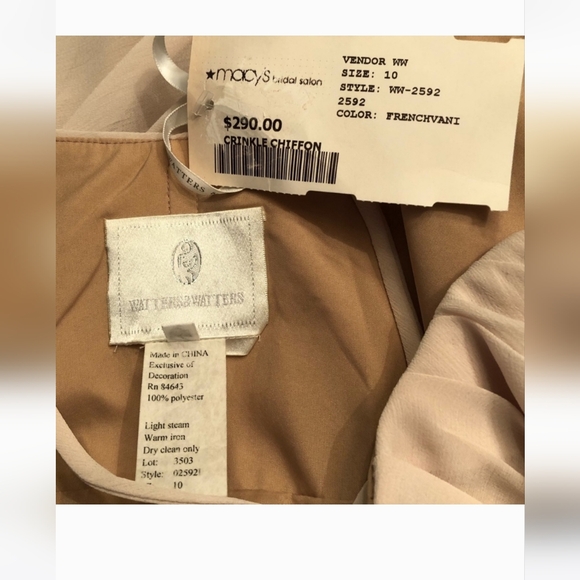 (JUST LISTED) NWT! GORGEOUS WATTERS FRENCH VANILLA CRINKLE CHIFFON DRESS - Picture 10 of 11